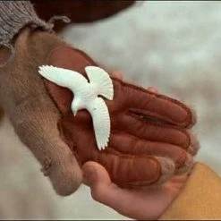 Kurt Adler Housewares And Home Decor Set Of 2 Turtle Dove Ornaments Inspired By Home Alone 2